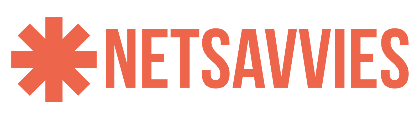 Netsavvies - Digital Marketing Agency in Ahmedabad
